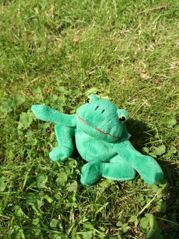 IMG_20170822_140608_resized_20170822_020709632